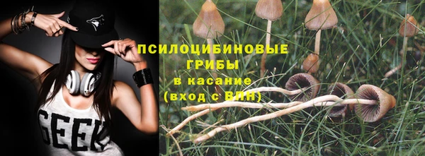 ALPHA PVP Богородицк