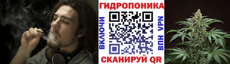 Шишки марихуана Bruce Banner  Жирновск 